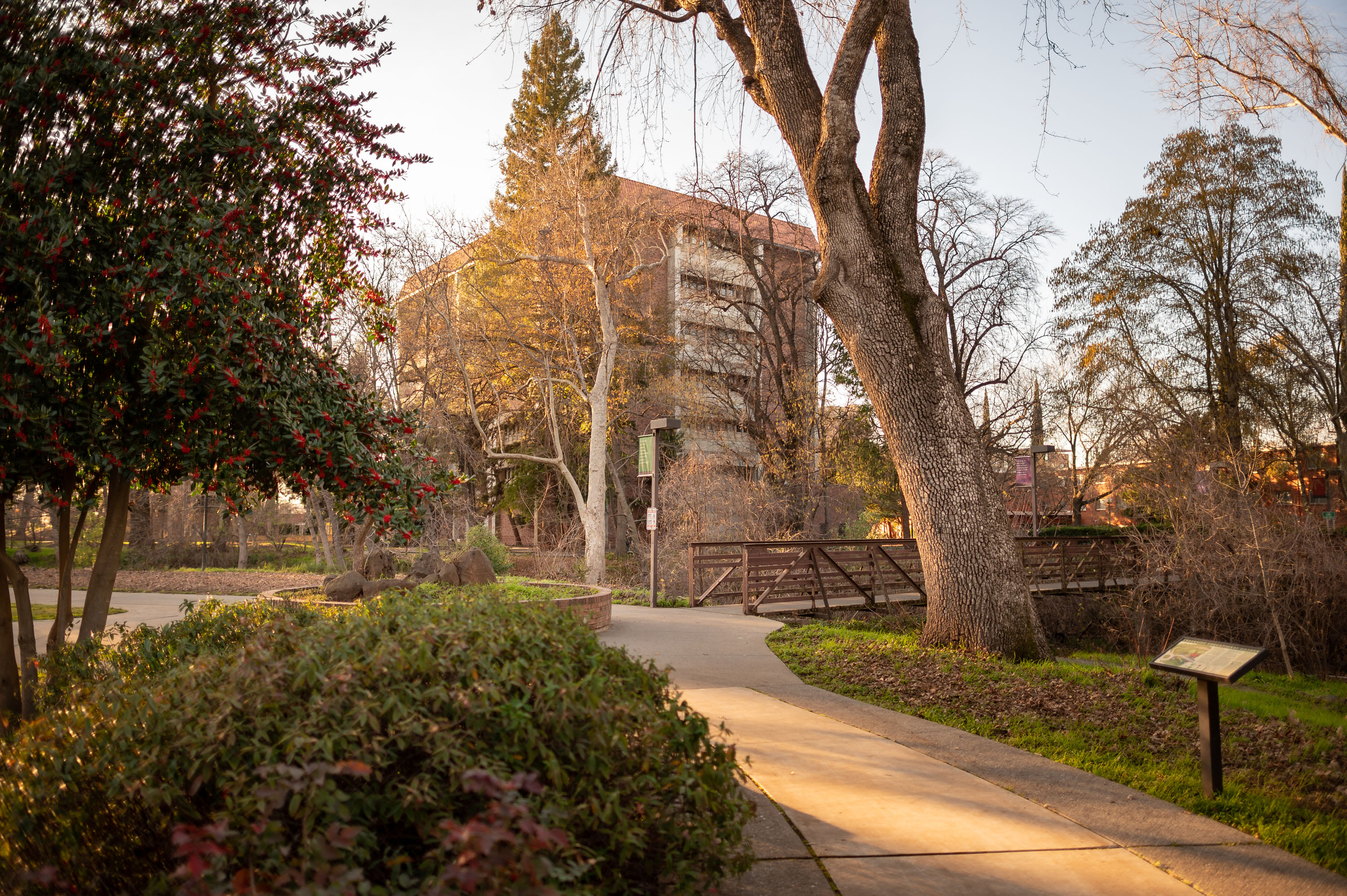 Algunos Campus de las Universidades Norteamericanas