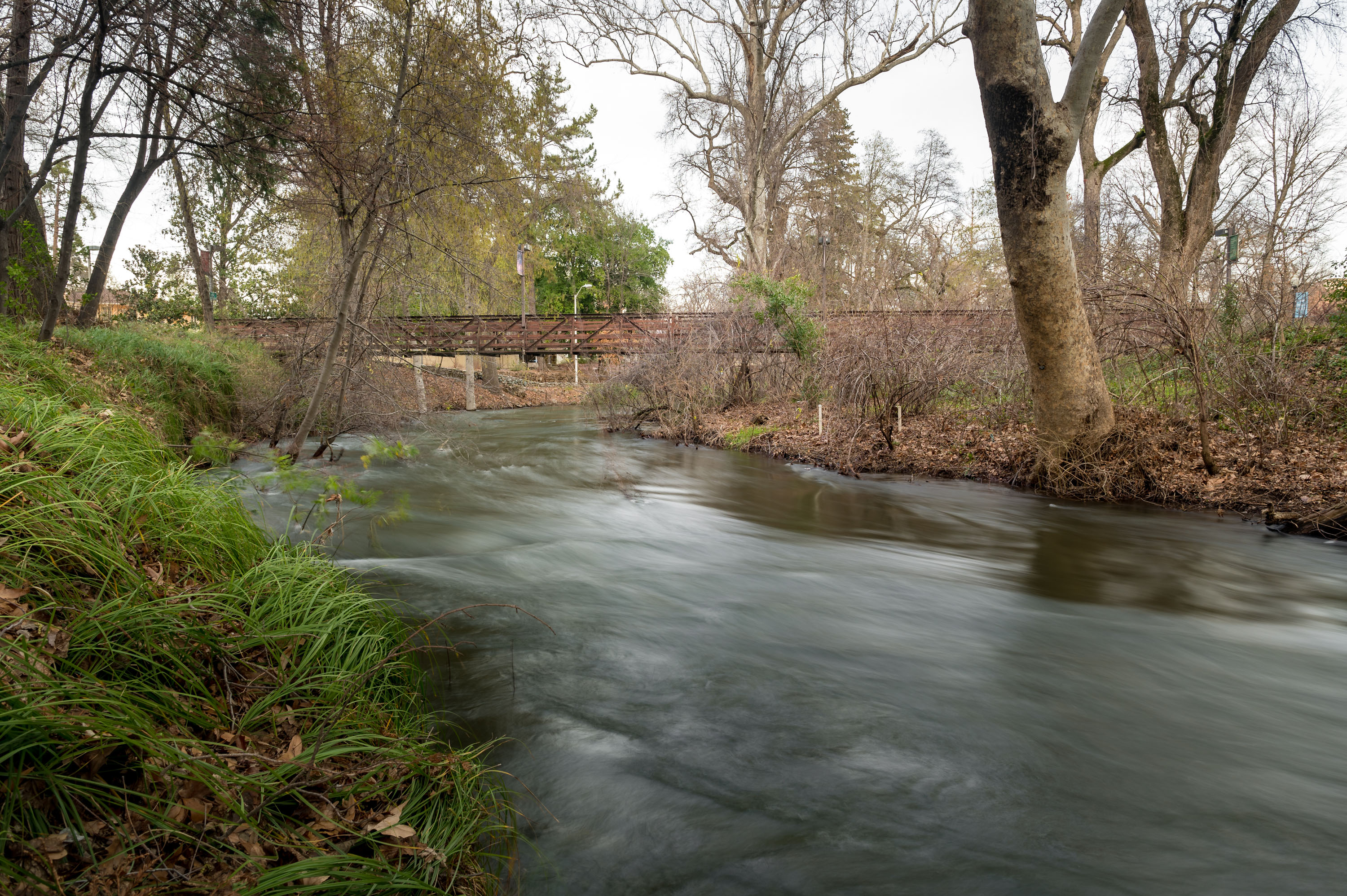 Algunos Campus de las Universidades Norteamericanas